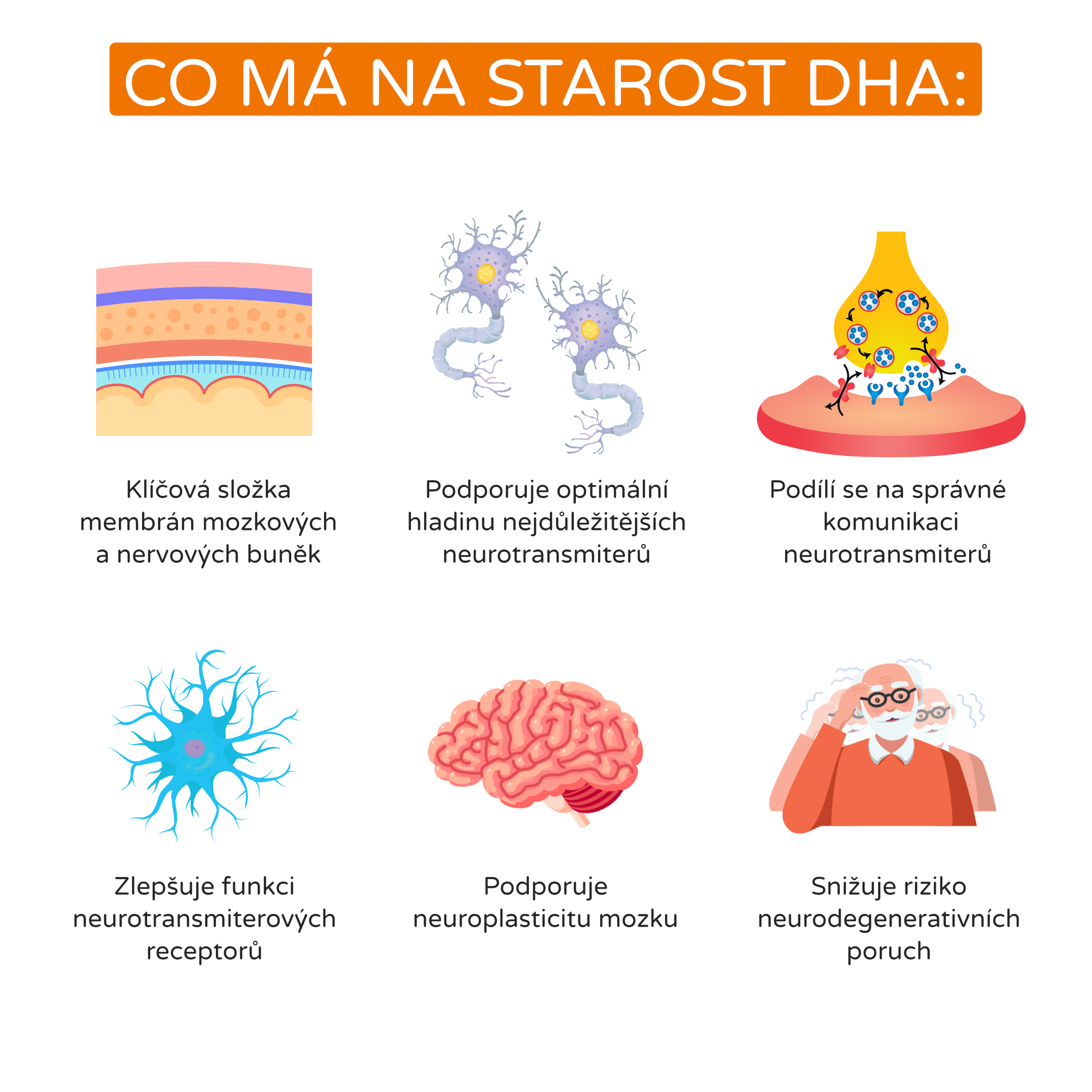 co ma na starost DHA_infografika_cz